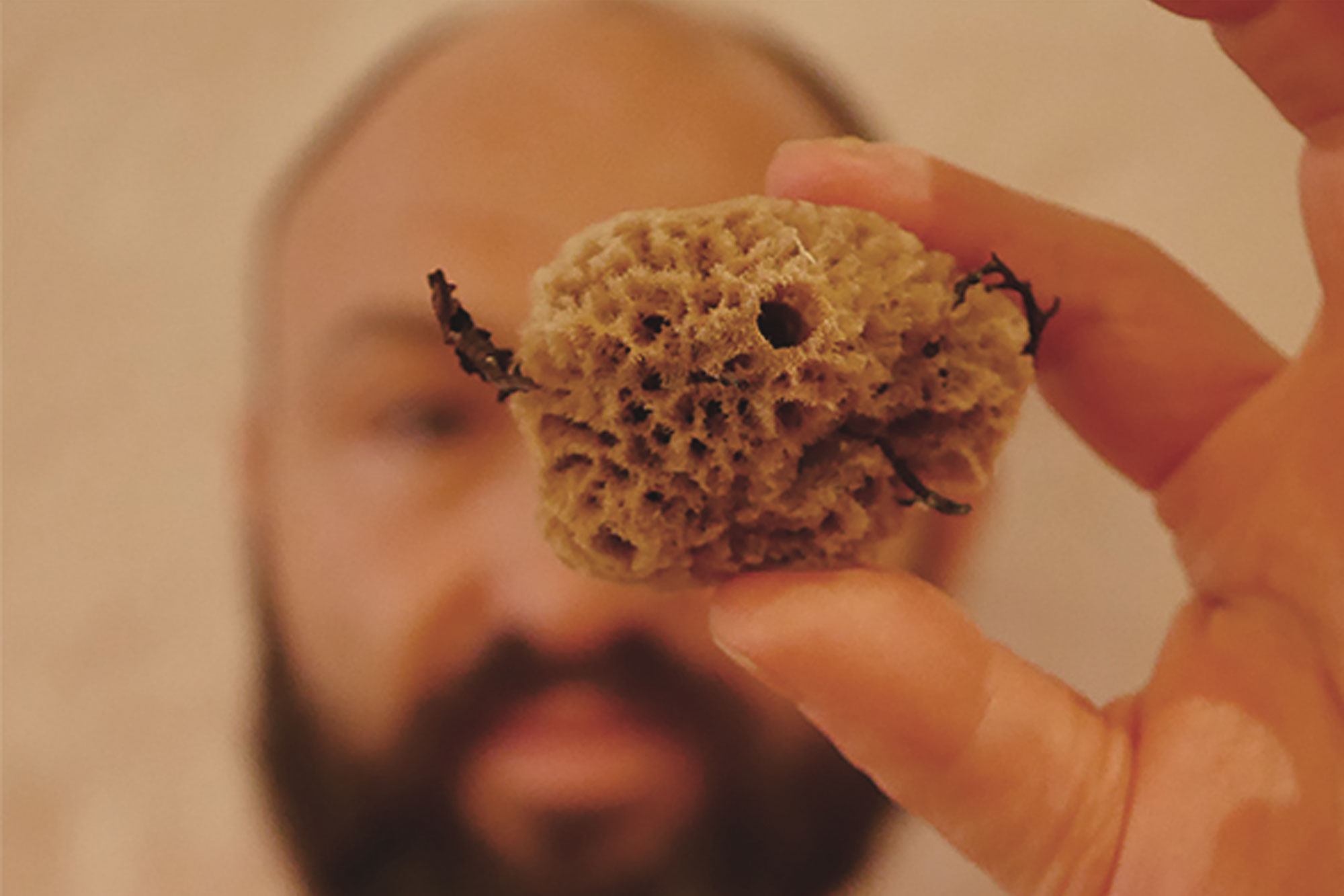 In this image, the person is blurred and there is a sea sponge in focus. The sea sponge is yellow and spongey, and has bits of seaweed coming out of it. You can make out that the person has a big black beard, dark eyes and short-cropped hair. They are wearing a red shirt and there is a yellow light making the photograph have a warm feeling. The background looks like a clay wall.